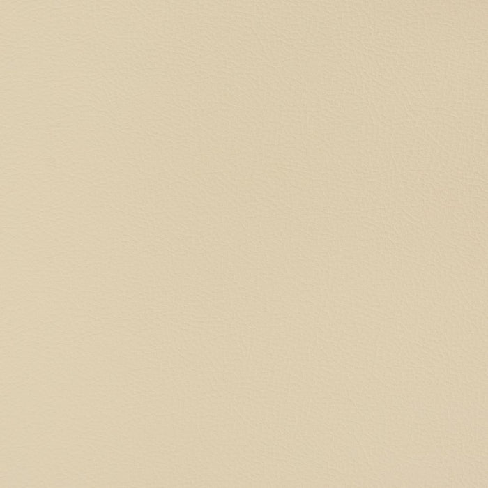 Charlotte Sand Dollar Fabric Sample V346