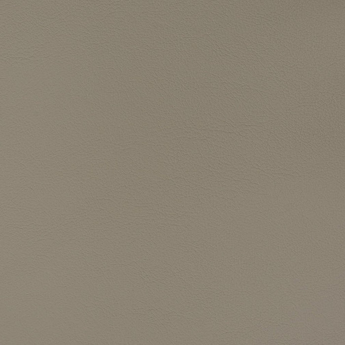 Charlotte Lead Fabric Sample V358