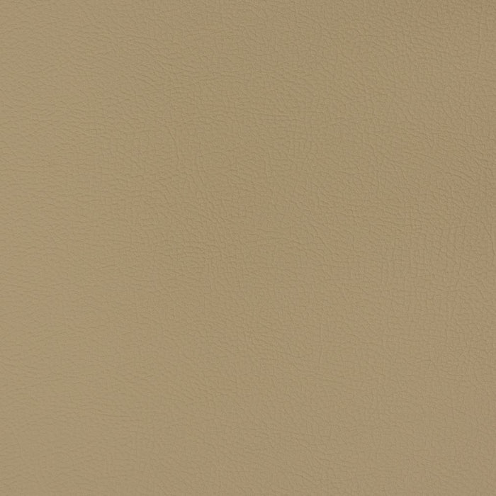 Charlotte Sandalwood Fabric Sample V359