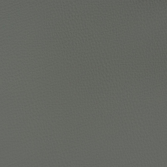 Charlotte Graphite Fabric V362