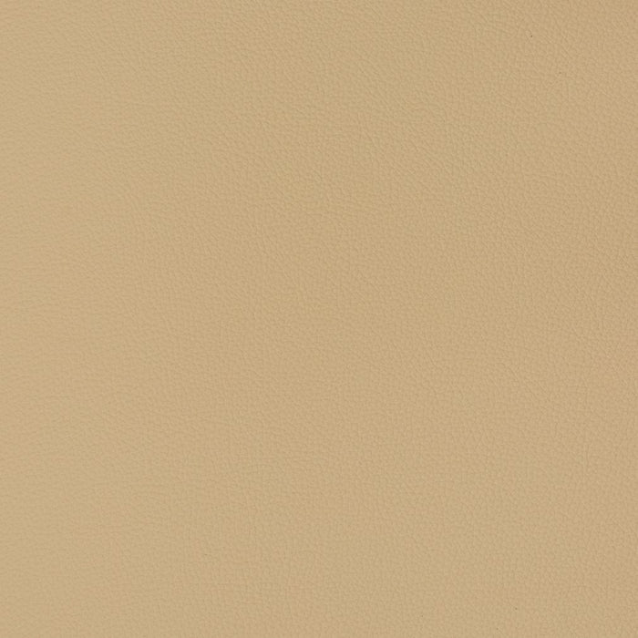 Charlotte Cashmere Fabric Sample V363