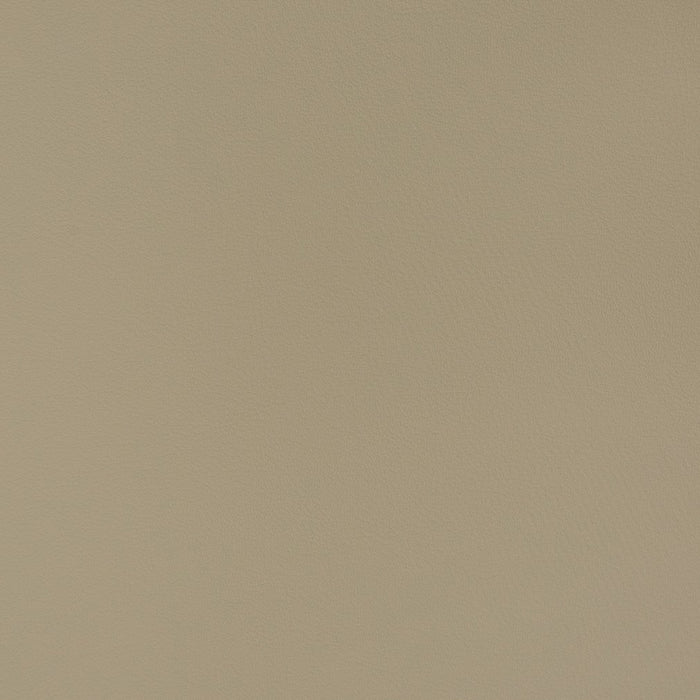 Charlotte Smoke Fabric Sample V365