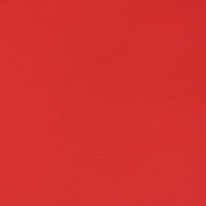 Charlotte Hot Rod Fabric Sample V370