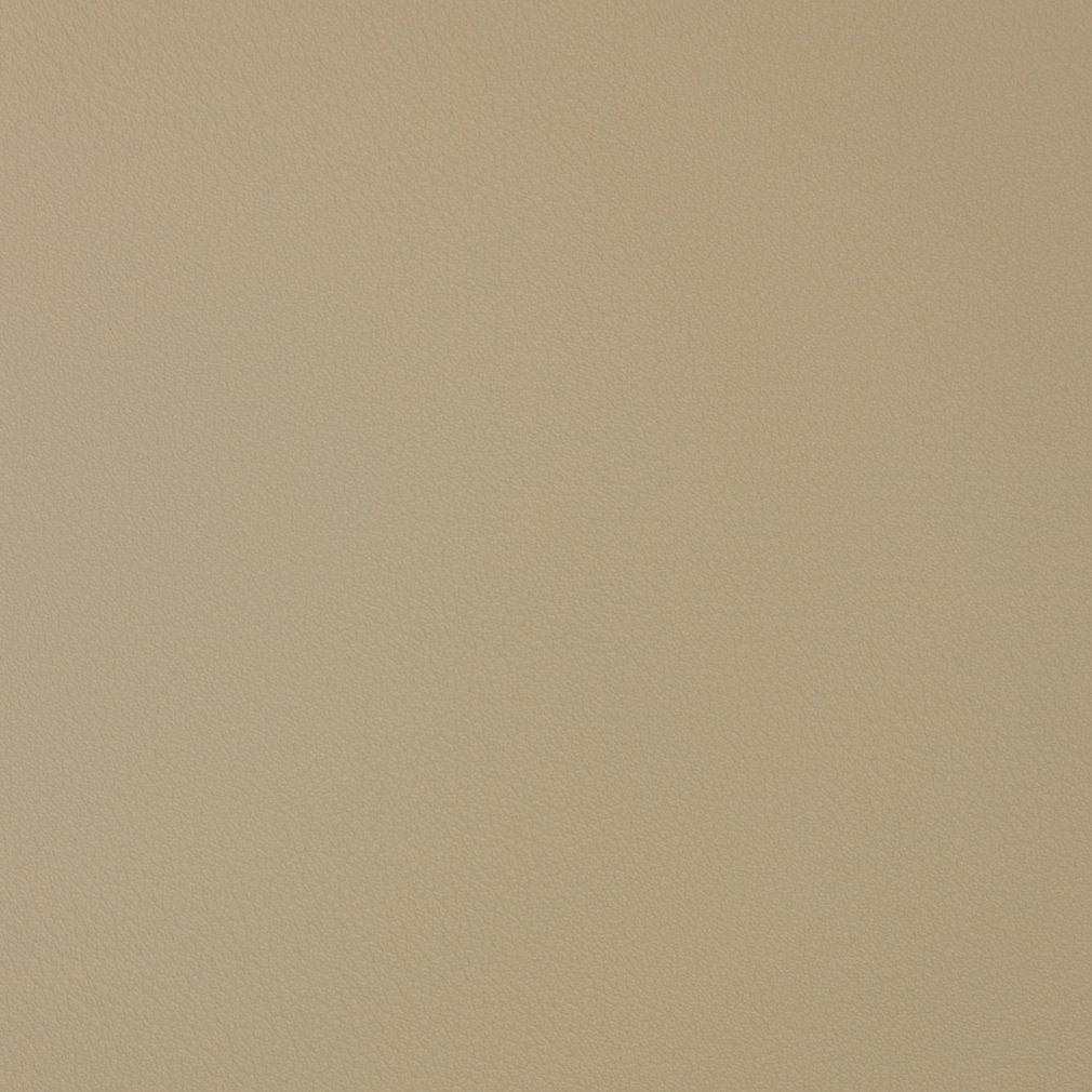 Charlotte Bisque Fabric V372
