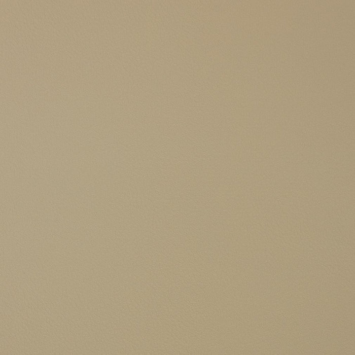 Charlotte Bisque Fabric Sample V372