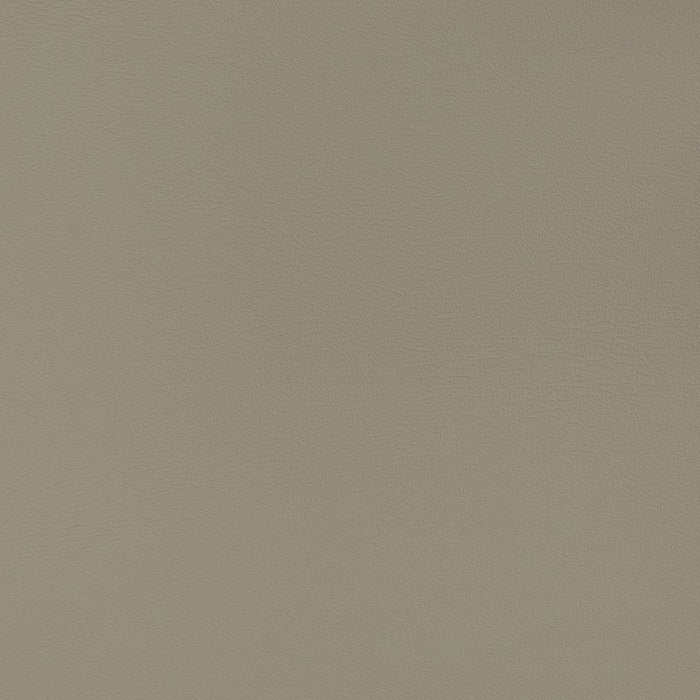 Charlotte Storm Fabric Sample V380