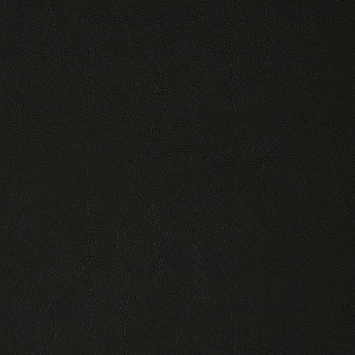 Charlotte Jet Fabric Sample V384