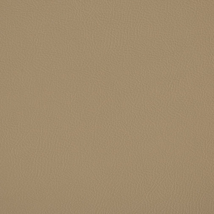 Charlotte Hazelwood Fabric Sample V385