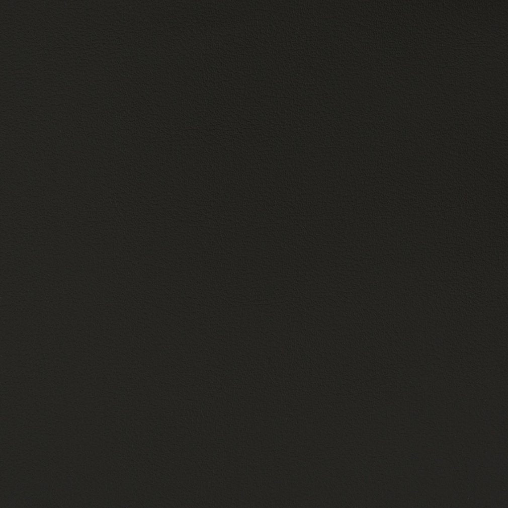 Charlotte Black Fabric V390