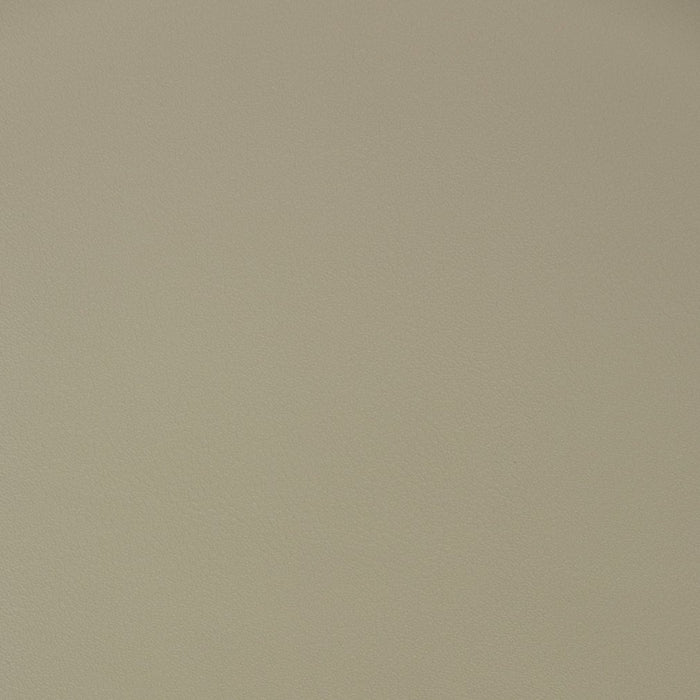 Charlotte Putty Fabric Sample V391