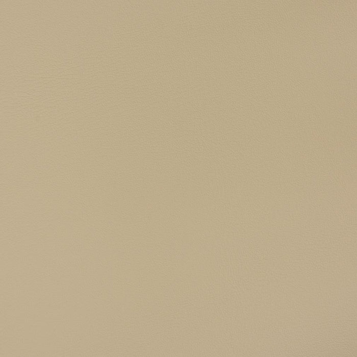 Charlotte Taupe Fabric Sample V393