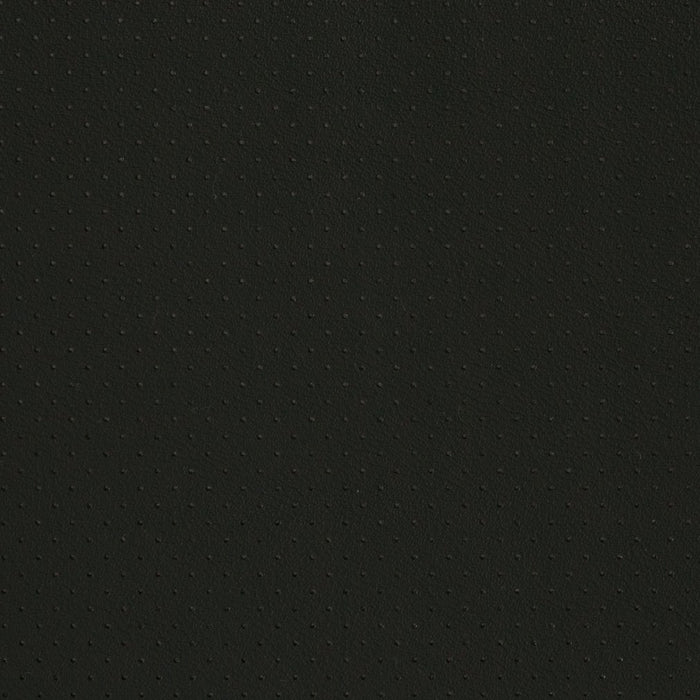Charlotte Black Perforated Fabric Sample V406
