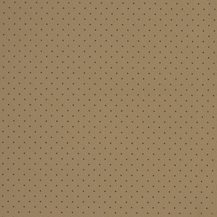 Charlotte Driftwood Perforated Fabric Sample V409