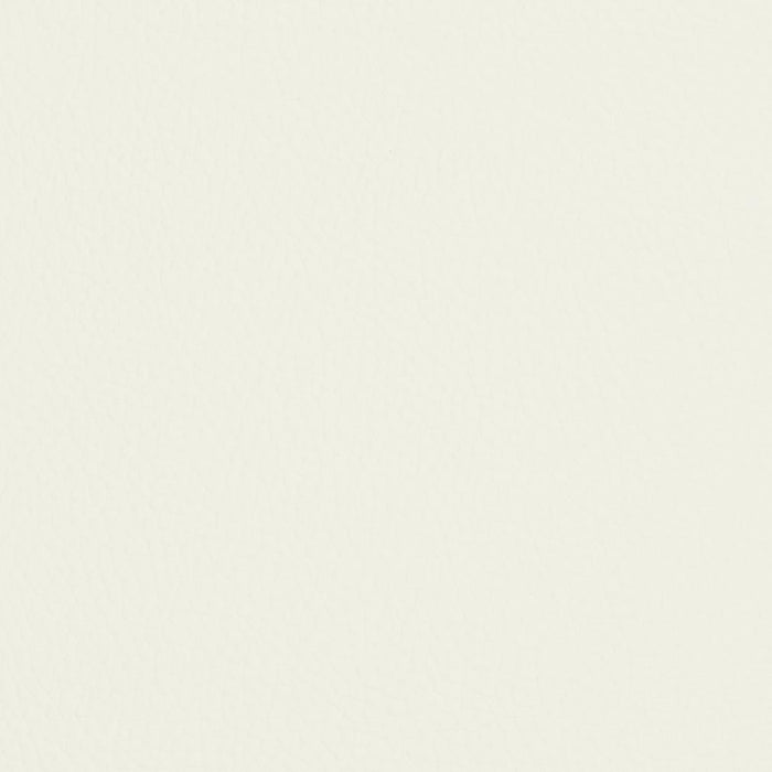 Charlotte Natural Fabric Sample V426
