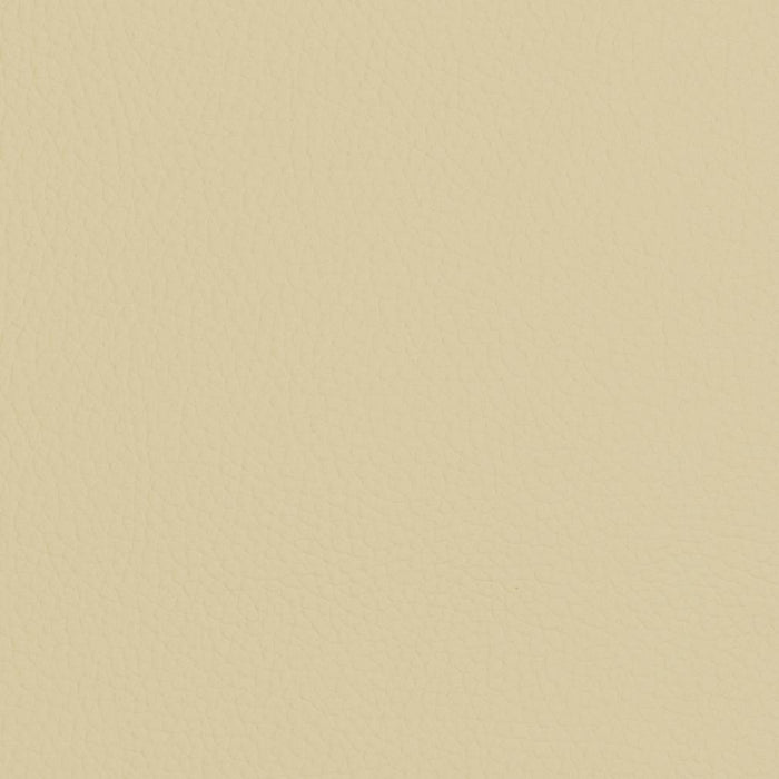 Charlotte Ivory Fabric Sample V428