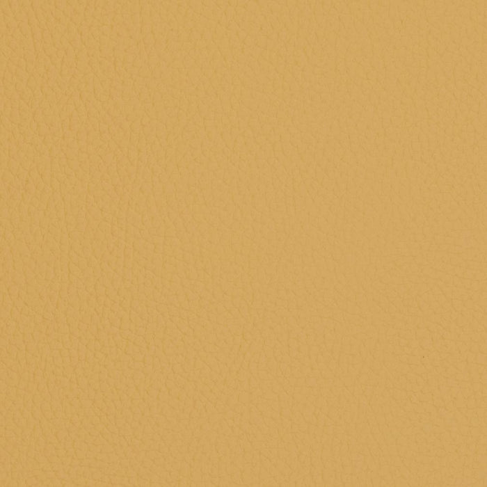 Charlotte Sand Dollar Fabric Sample V429