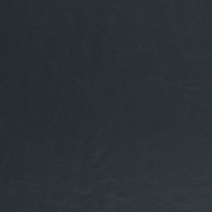 Charlotte Navy Fabric Sample V433