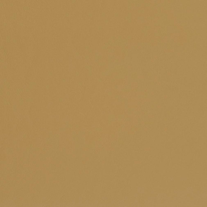 Charlotte Sand Dune Fabric Sample V436