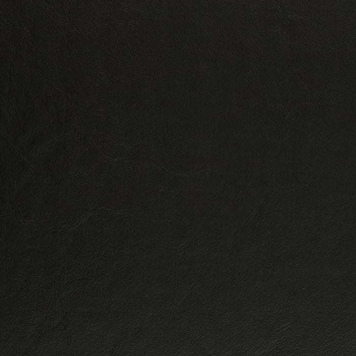 Charlotte Black Fabric Sample V437