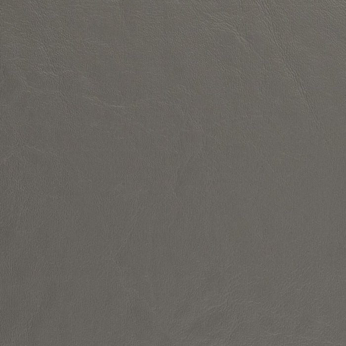 Charlotte Anchor Fabric Sample V439