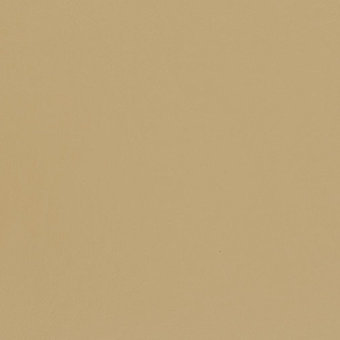 Charlotte Sand Fabric Sample V440
