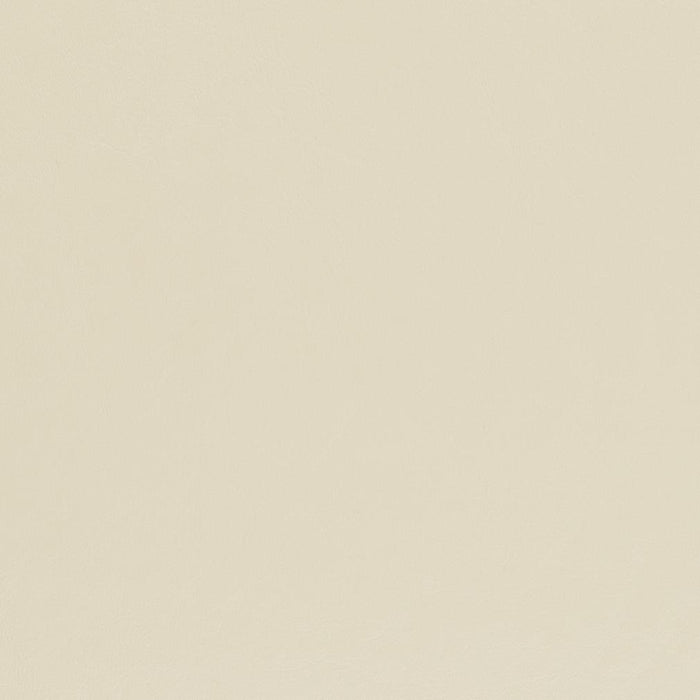 Charlotte Chalk Fabric Sample V446