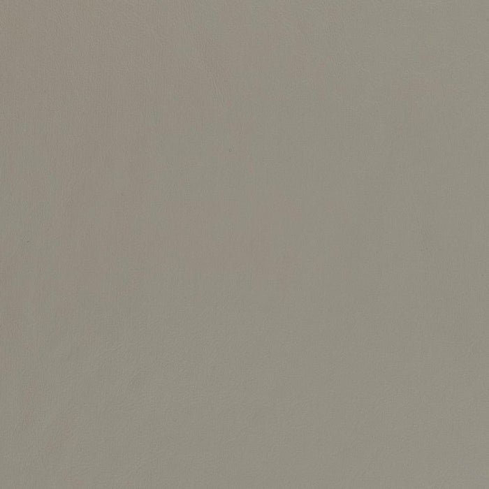 Charlotte Pewter Fabric Sample V449