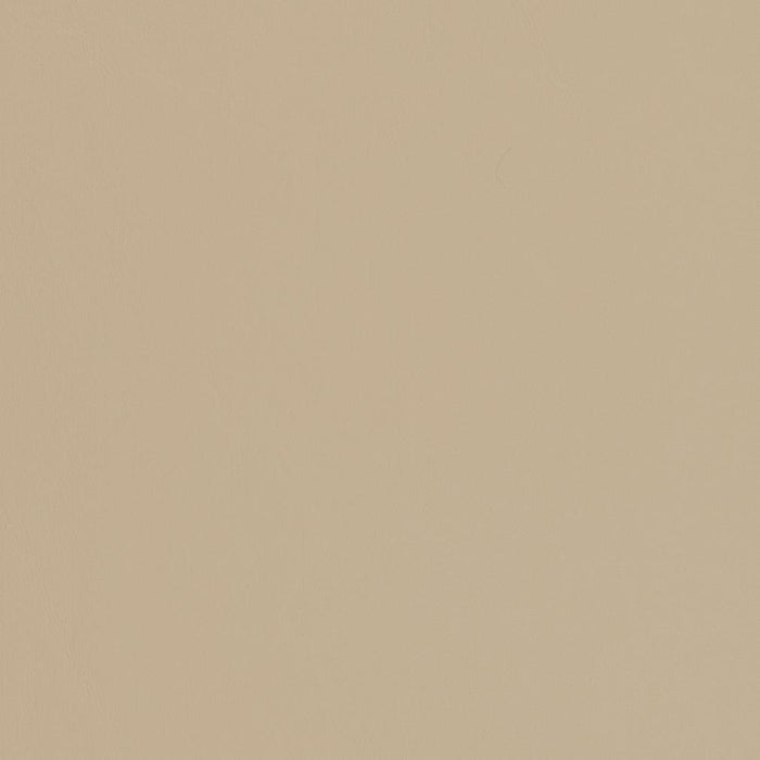 Charlotte Sandstone Fabric Sample V451