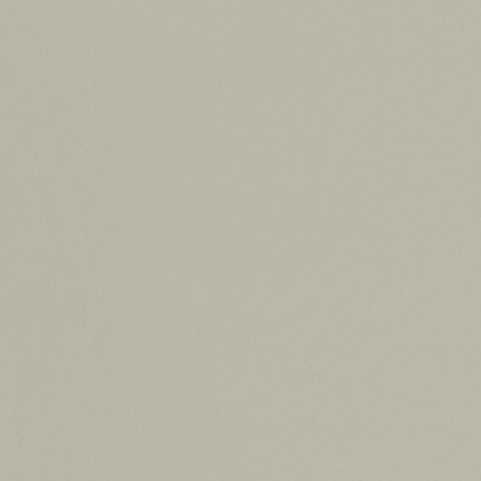 Charlotte Dove Fabric Sample V453