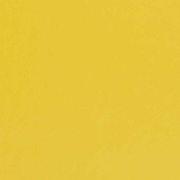 Charlotte Yellow Fabric Sample V455