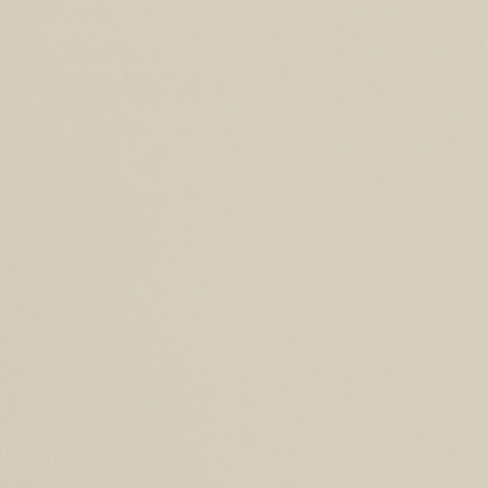 Charlotte Seashell Fabric Sample V456