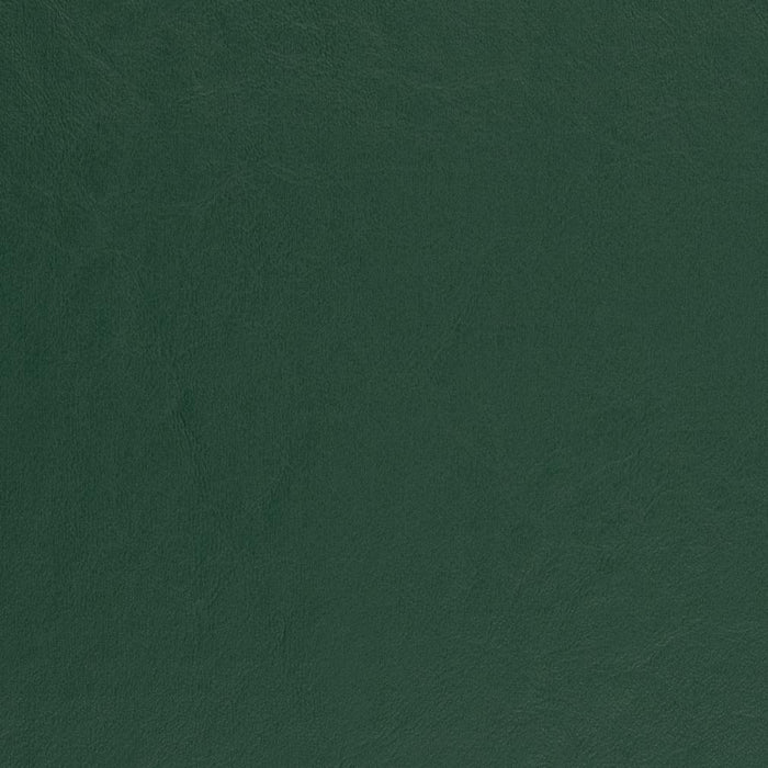 Charlotte Spruce Fabric Sample V457