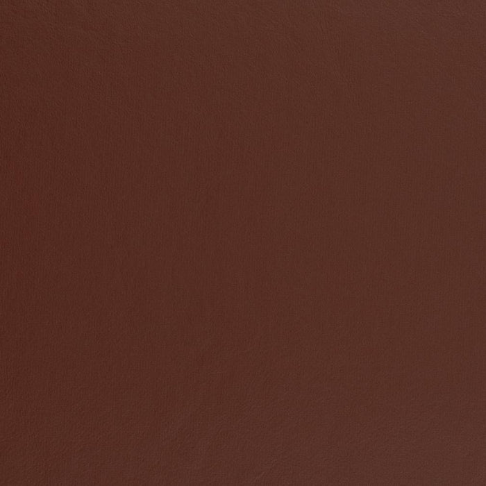 Charlotte Wine Fabric Sample V458