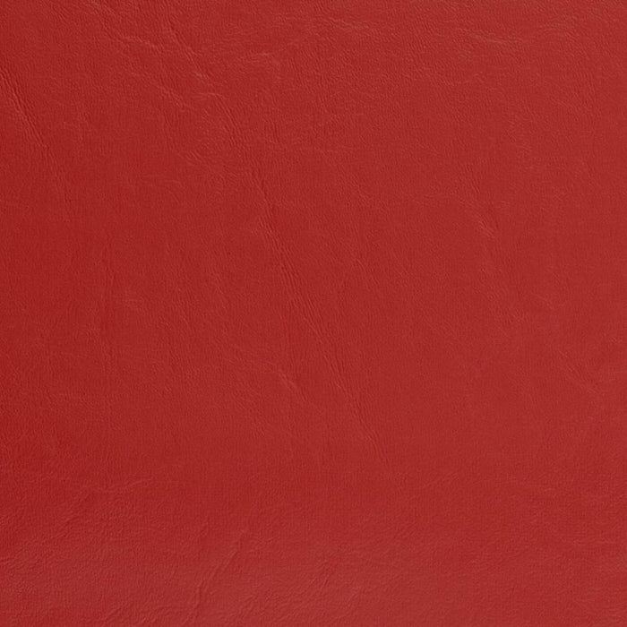 Charlotte Cardinal Fabric Sample V461