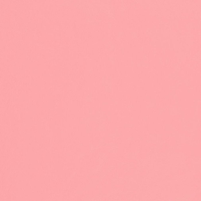 Charlotte Pink Fabric Sample V462