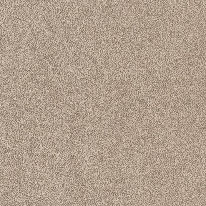Charlotte Sandstone Fabric Sample V500