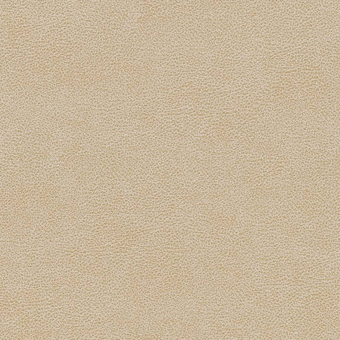 Charlotte Sand Dollar Fabric Sample V502