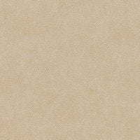 Charlotte Sand Dollar Fabric V502