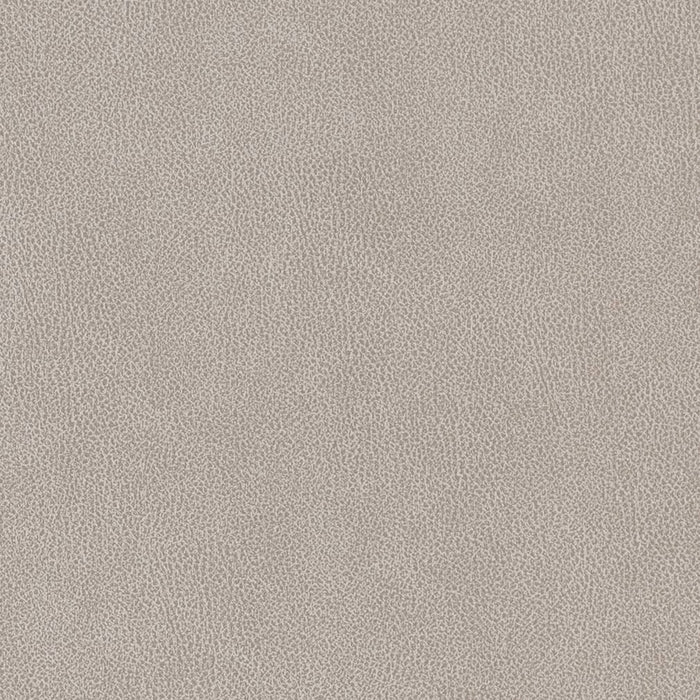 Charlotte Platinum Fabric Sample V503