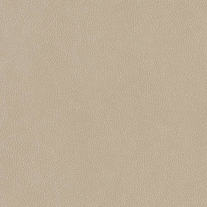Charlotte Linen Fabric Sample V506