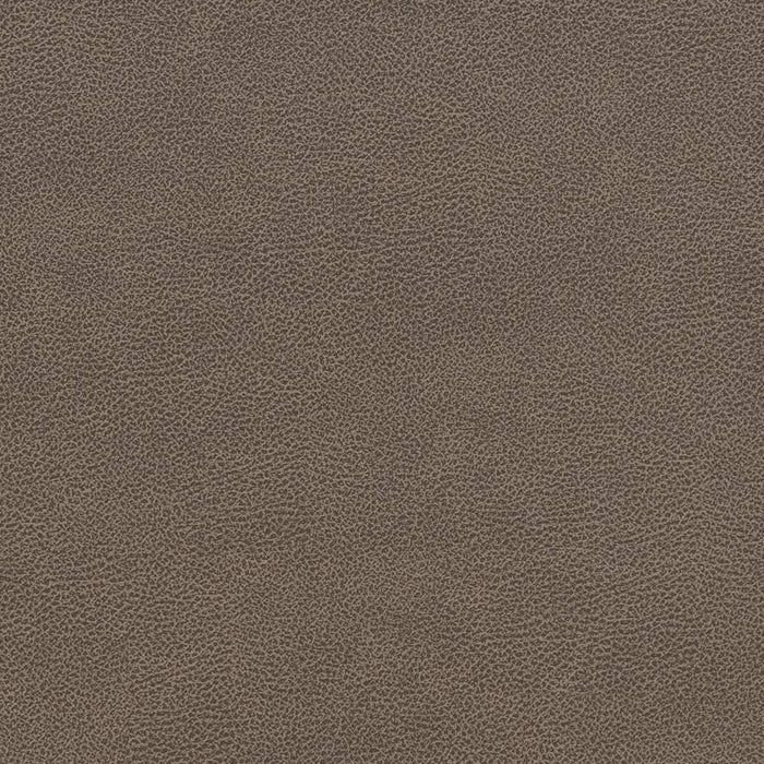 Charlotte Ash Fabric Sample V507