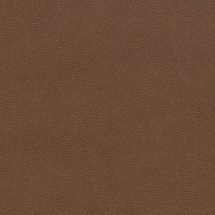 Charlotte Pecan Fabric Sample V509