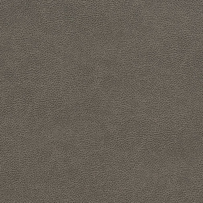 Charlotte Storm Fabric Sample V510