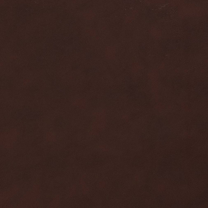 Charlotte Wine Fabric Sample V514