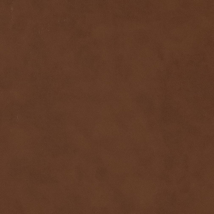 Charlotte Sepia Fabric Sample V515