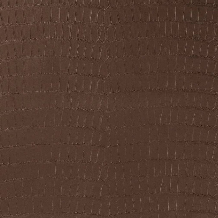 Charlotte Truffle Fabric Sample V590