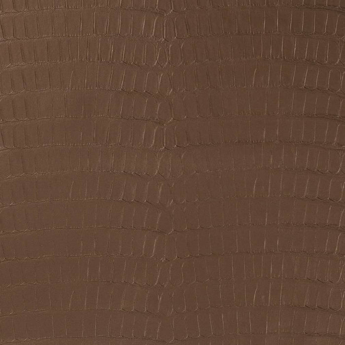 Charlotte Chocolate Fabric Sample V591