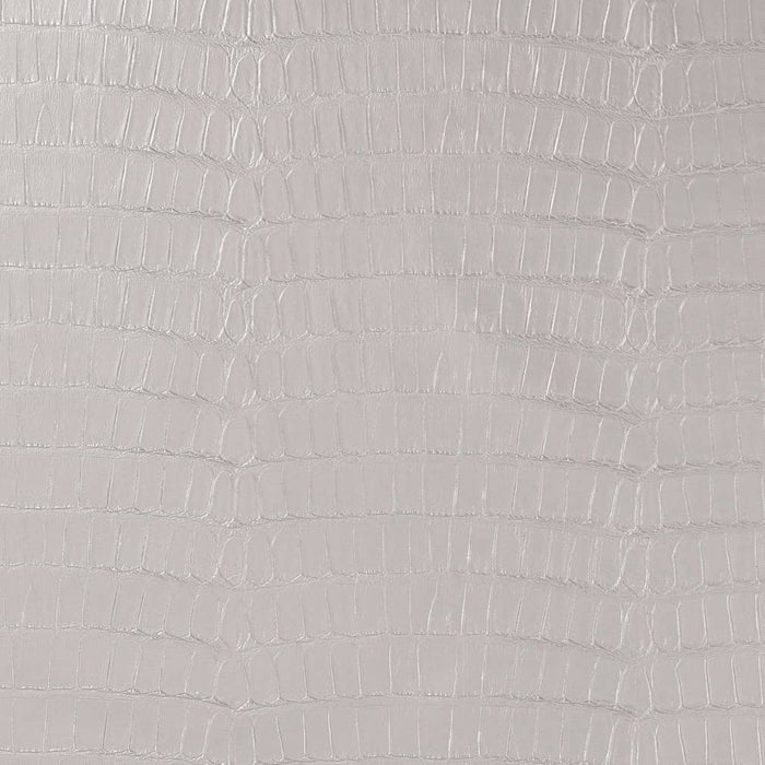 Charlotte Chrome Fabric Sample V592