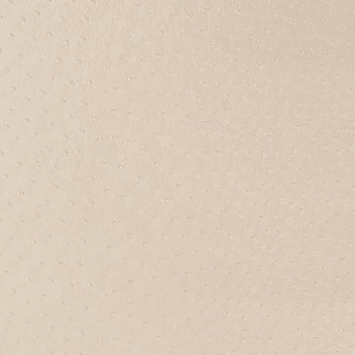 Charlotte Parchment Fabric Sample V596