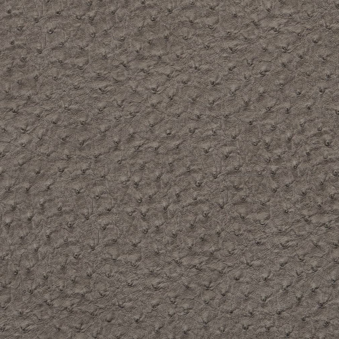 Charlotte Pewter Fabric Sample V617